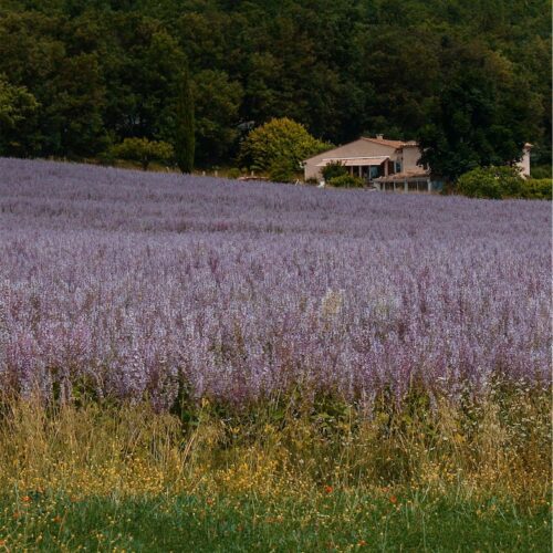 Provence, France